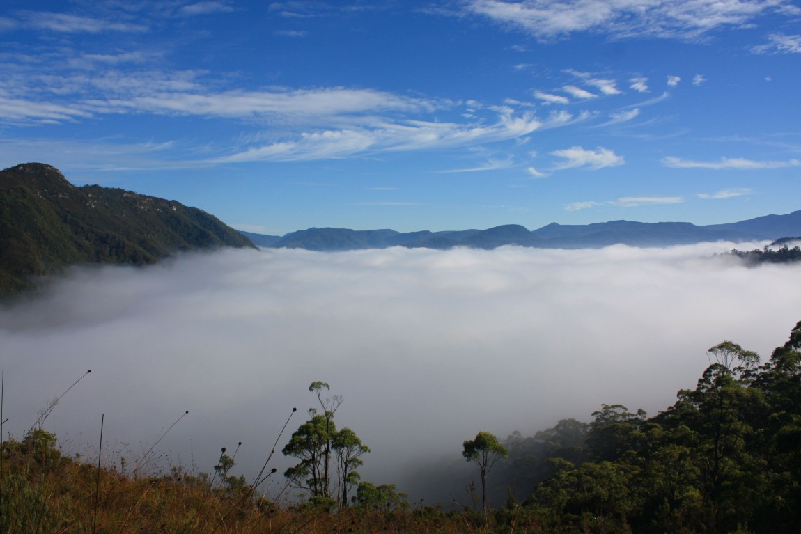 mer de nuages tasmanie