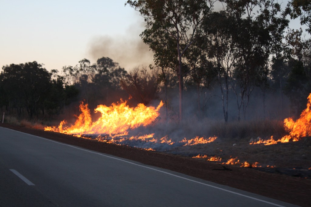 feux de bush australie