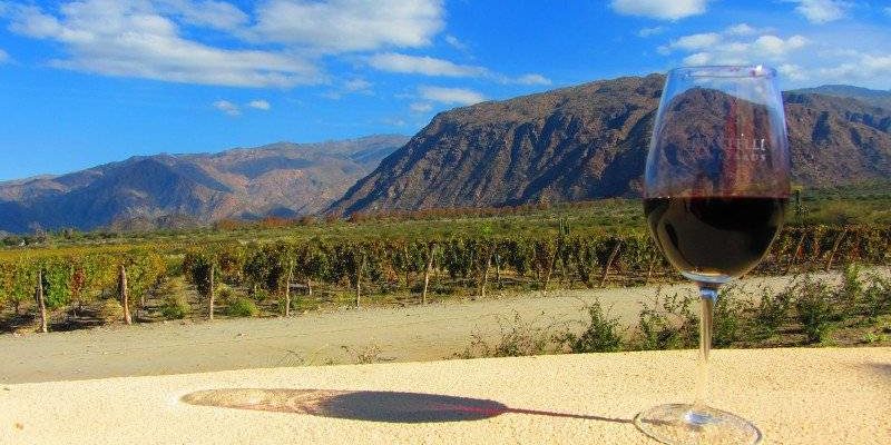 Sur la route des vins argentins