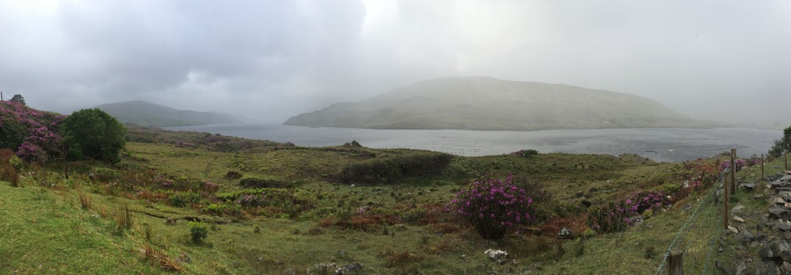 Road trip en Irlande : arrivée dans le Connemara