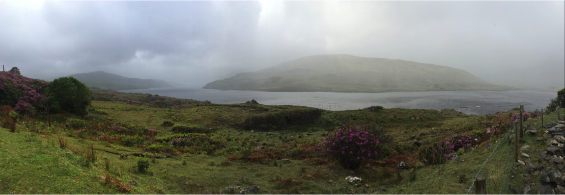 Killary Harbour