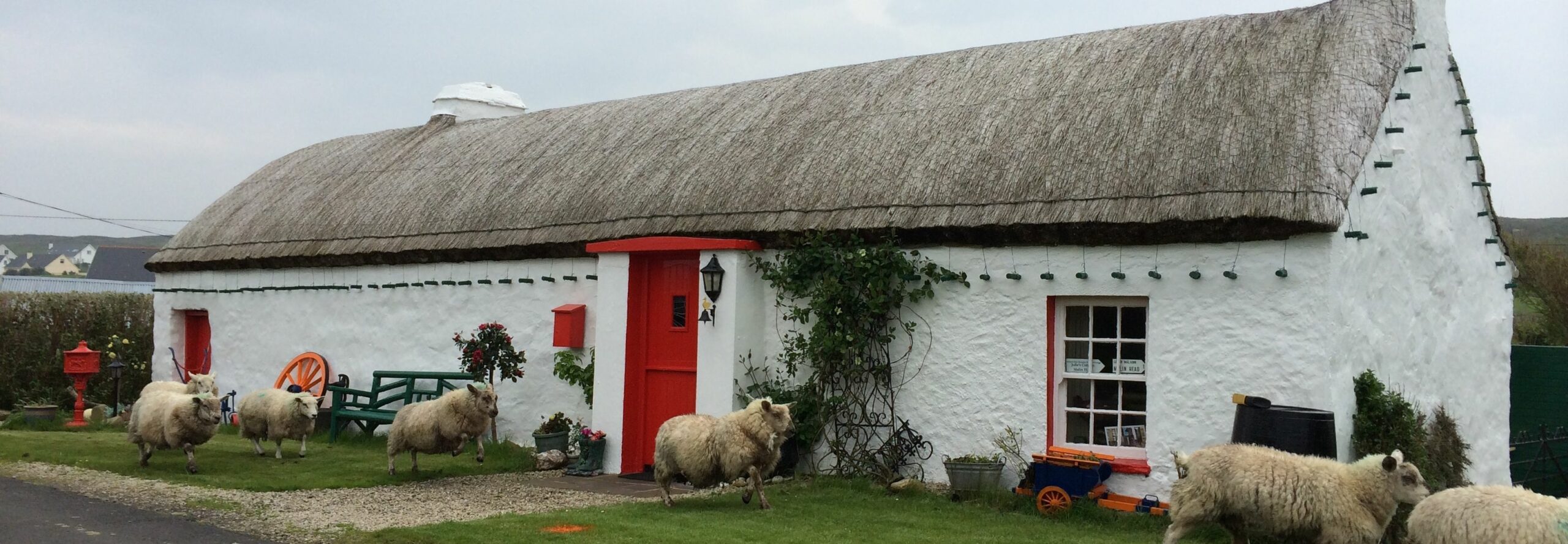 Road trip en Irlande : la pointe nord de l’Irlande