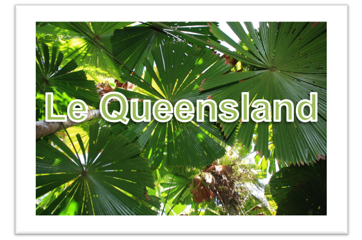 vignette_queensland