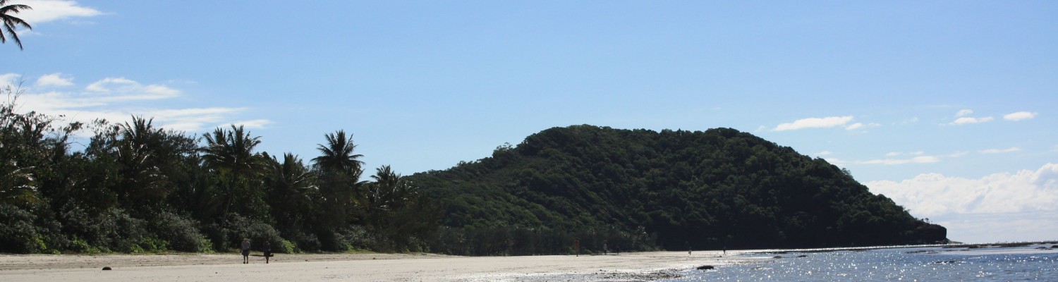 Etape 1 : Cape Tribulation – Quand la forêt tropicale rencontre l’océan