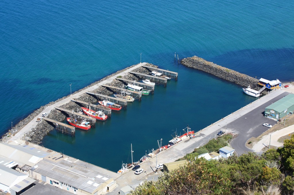 vue the nut bateaux tasmanie