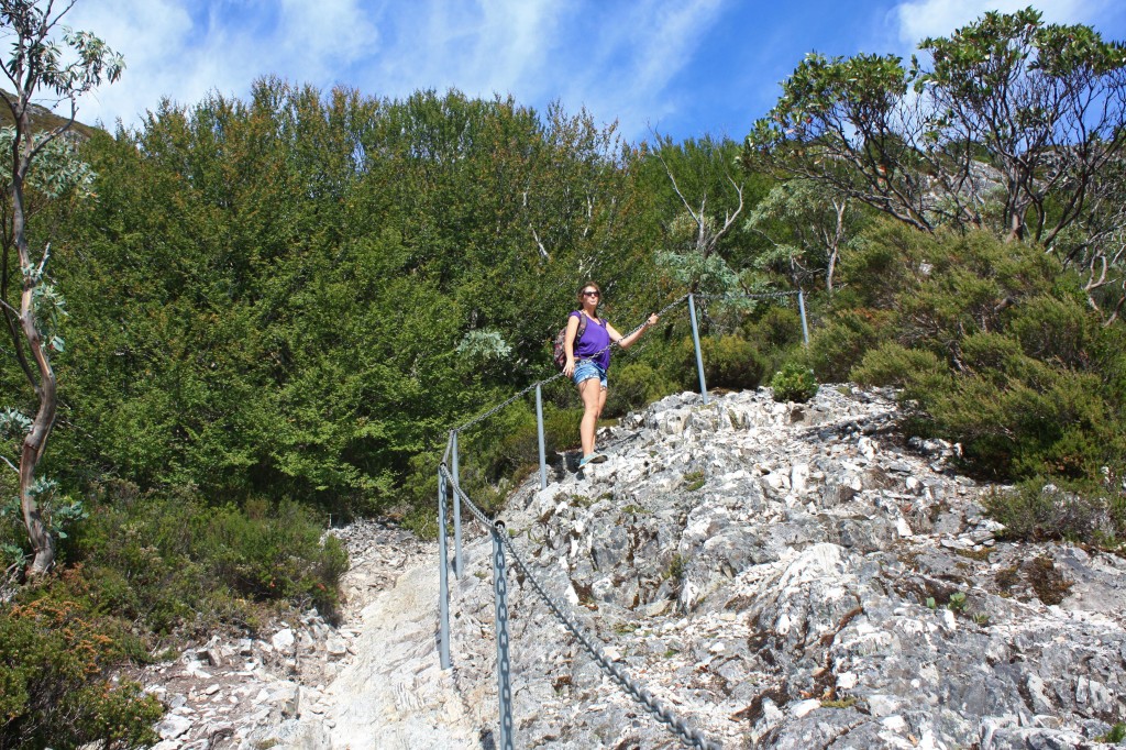 chemin cradle mountain