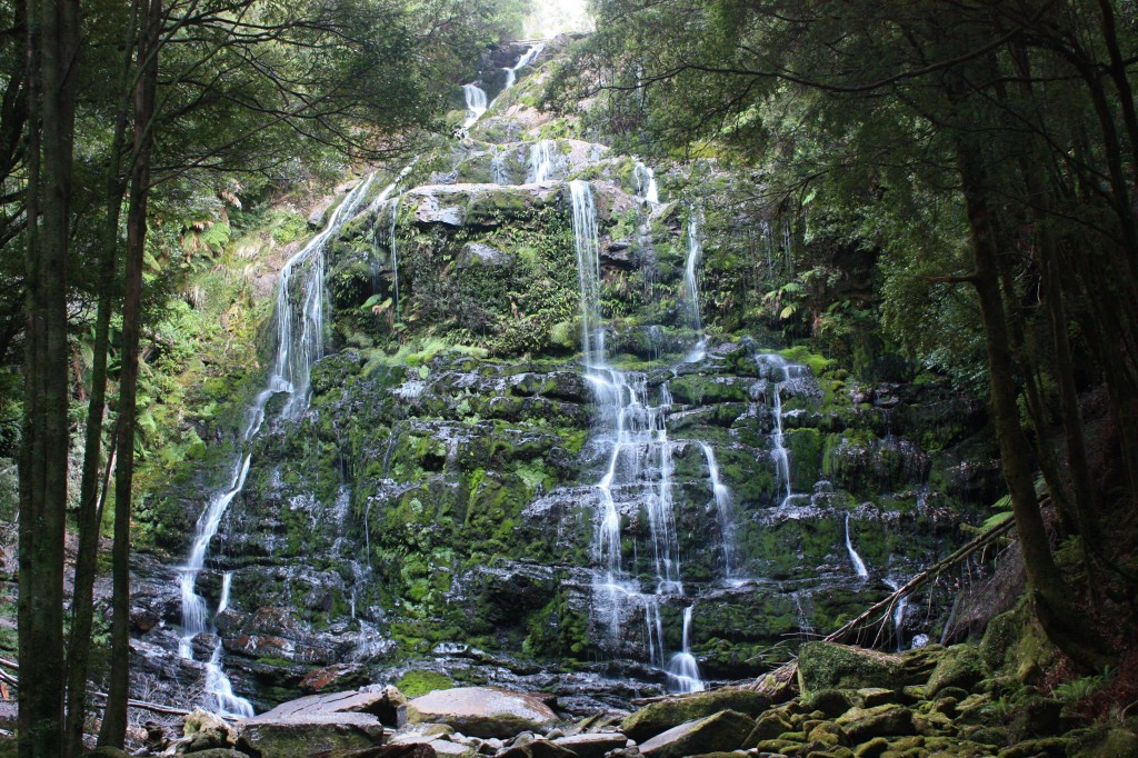 nelson falls tasmanie