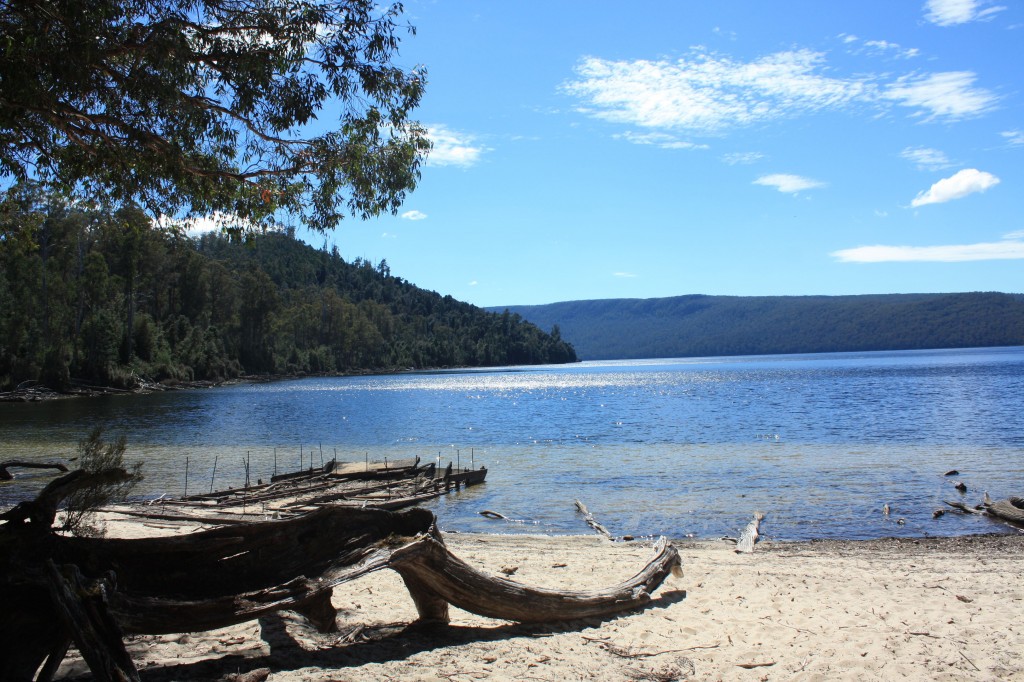 lac st clair tasmanie platypus bay