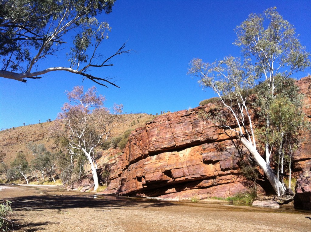 trephina gorge