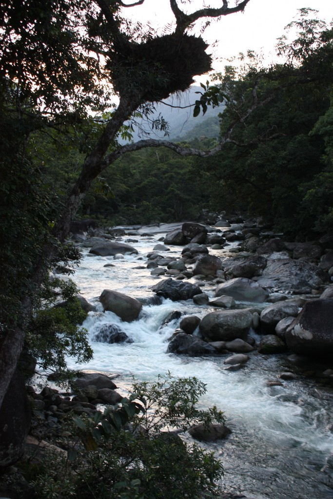 mossman gorge