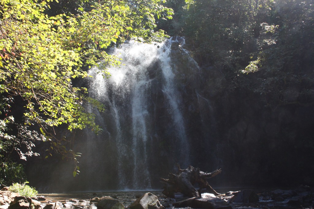 Ellinjaa falls