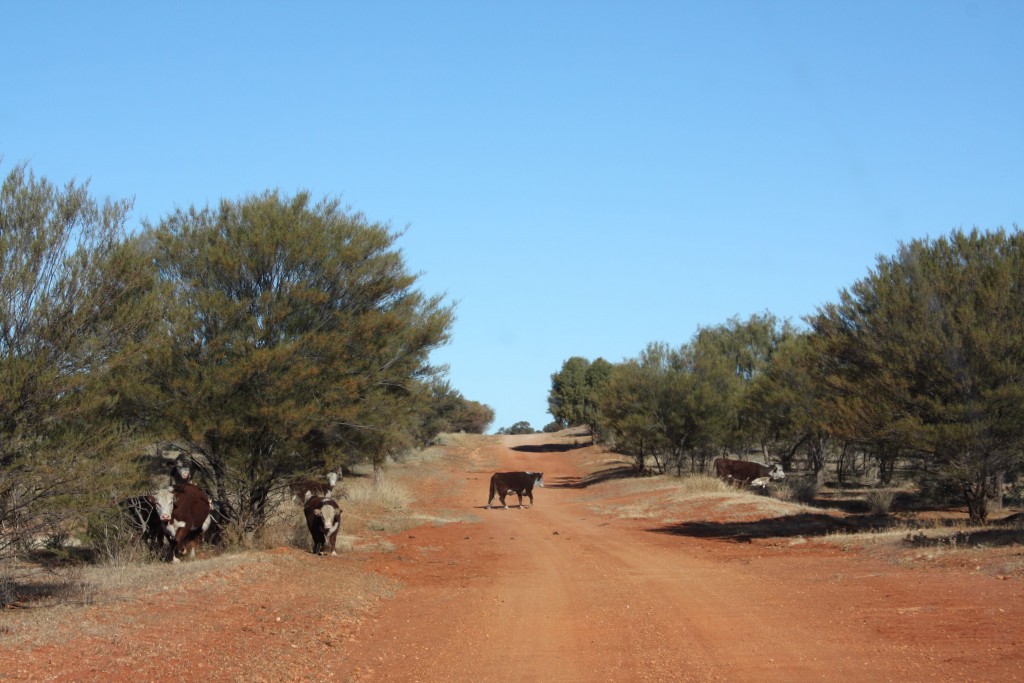 dirt road