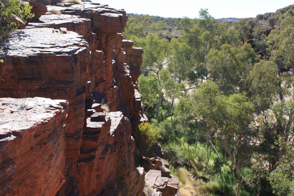 trephina gorge