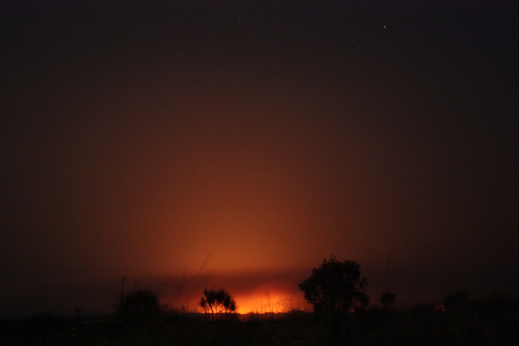 feux de bush australie