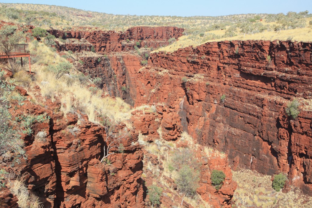 oxer lookout