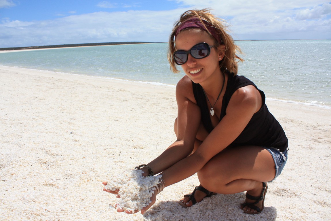 shell beach australie