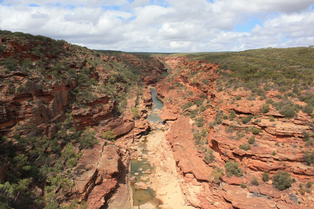 kalbari australie cote ouest