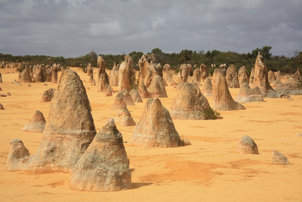 desert de pinnacles western australia