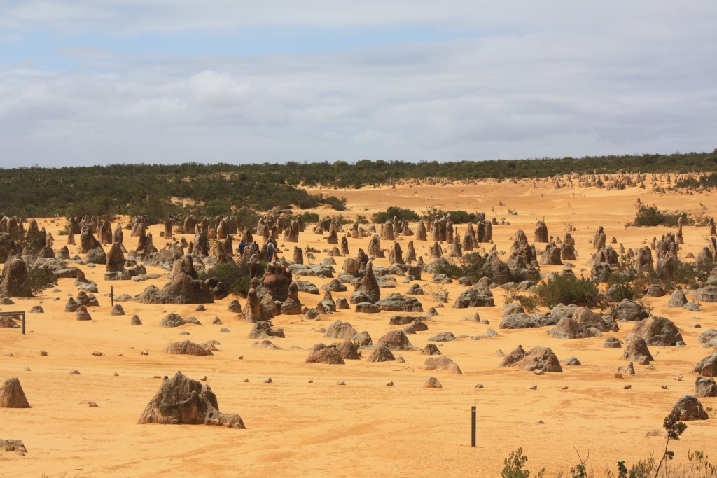desert de pinnacles western australia