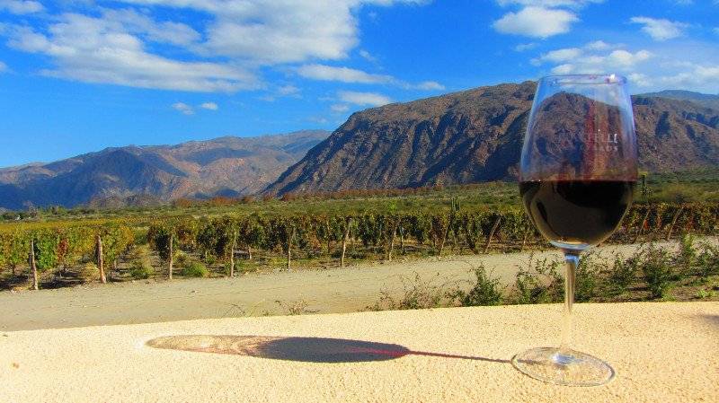 Sur la route des vins argentins