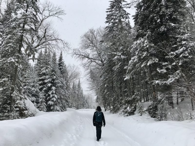De Montréal à Québec, récit d’un road trip au Canada (en hiver)
